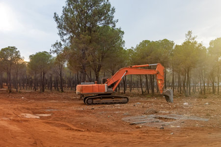 Excavator working in forest. Levels clay soil in coniferous forest