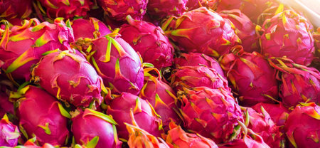 Stacked from dragon fruit exotic or pitahaya fruit in a Turkish market. Banner format sizeの写真素材
