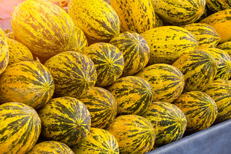 Fresh ripe melons forming background on farmers marketの写真素材