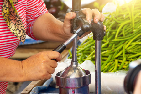 Process of squeezing pomegranate using manual mechanical juicer to obtain useful vitamins from natural product. Hands of seller from farmers marketの写真素材