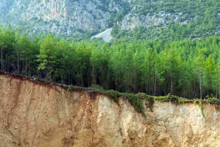 Mountain landscape with forest coniferous vegetation and a section of soil inside in depthの写真素材