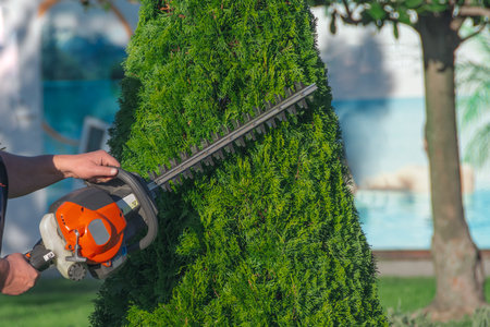 Man with garden gasoline scissors cutting a green bush Thuja - hedge crown formation. Work in the garden in early spring. Cuts a high hedge with a motorized hedge trimmerの写真素材