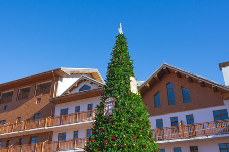 Urban Christmas tree decorated among the sloping roofs of wooden houses against the blue skyの写真素材