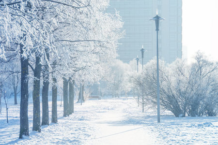 View of winter snow covered city park with a hiking path trail row lighting lanterns, in the distance multi-storey buildings on a frosty sunny winter dayの写真素材