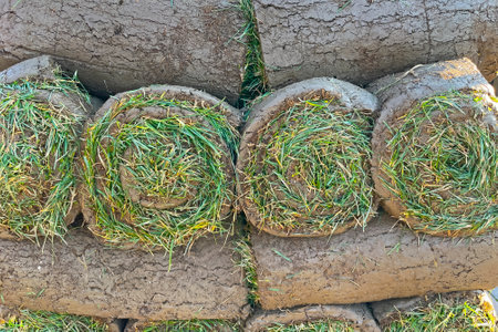 Rolled in a spiral lawns stacked on top of each other close up viewの写真素材