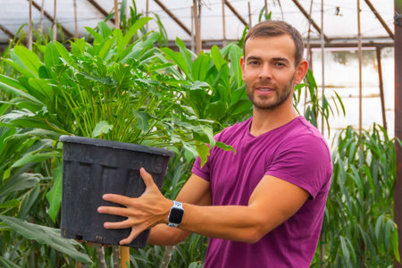 Caucasian male gardener smiling holding large pot with houseplant show philodendron xanadu in tropical greenhouse farm plantation with plumeria and ficusesの写真素材