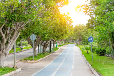 Pathway and beautiful trees track for running or walking and cycling relax in the park on green grass field. Alley with dense crowns of trees above the path, a cozy park walking area, road signsの写真素材
