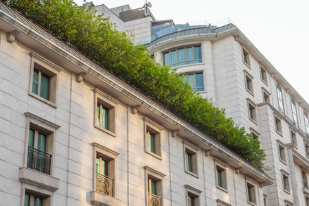 Green bushes with leaves on the roof of an old monumental historical building, view upstairs to the facade with windowsの写真素材