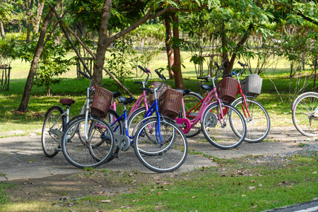 Bicycles parked in a parking lot in a city park.の写真素材
