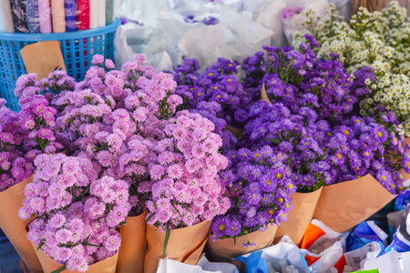 Aster virginiana of purple light tones in a bouquet for sale.の写真素材