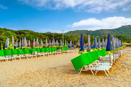 Rows of folded beach umbrellas and empty sunbeds on the beachの写真素材