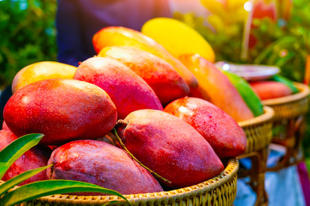 Large mangoes with branches, foliage, and tree saplings neatly laid out on a small fruit stall in a tropical fruits market.の写真素材