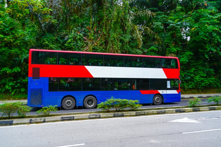 Double-decker shuttle bus rides among trees and vegetation near the city park.の写真素材