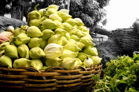 Basket of lotus buds in traditional farmer market,Indiaの写真素材