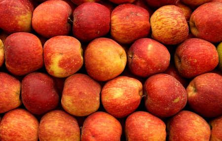 Stack of apples for sale at traditional farmer market,India