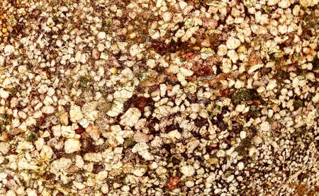 multi colored Grainy spots texture
