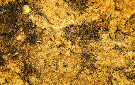 Grainy Limestone