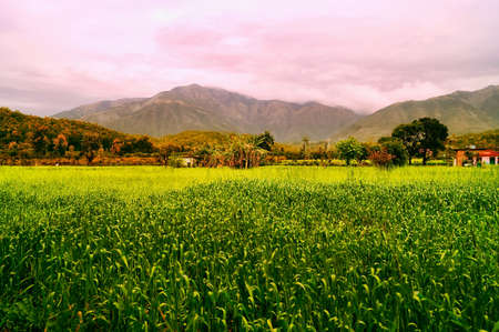 The farmland of noble profession:agricultureの写真素材