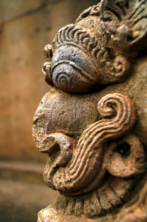 The ferocious stareの写真素材