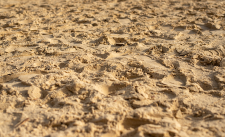 Sand with footprintsの写真素材