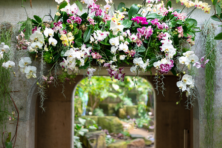 Beautiful colorful flower top of archway arangement made of orchid flowersの写真素材