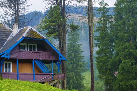 house on the background of the forestの写真素材