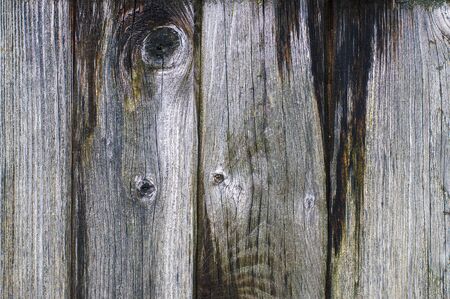 old wood texture backgroundの写真素材