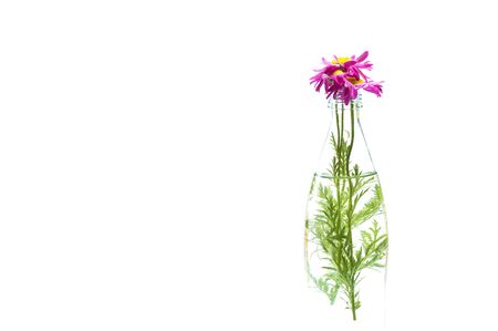 flowers in glass bottle on white backgroundの写真素材