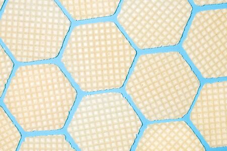 wafer wafers on a blue background