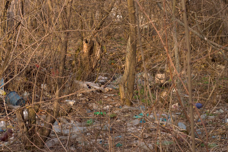 forest contaminated plastic waste