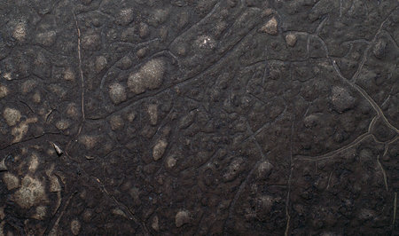 texture of the old wall with charred paint