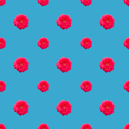 seamless pattern, red flower on blue background