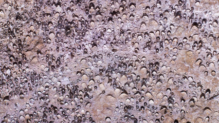 condensation water droplets on the wall