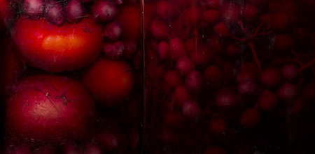 photo of canned vegetables tomatoの写真素材
