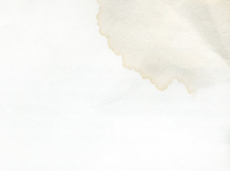 photo texture white paper backgroundの写真素材