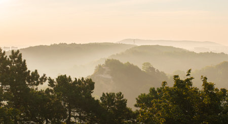 view of the city from high in the morning in the fogの写真素材