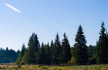nature mountain landscape on the background of the skyの写真素材