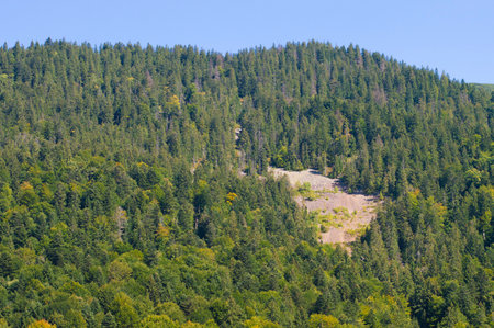 nature mountain landscape on the background of the skyの写真素材