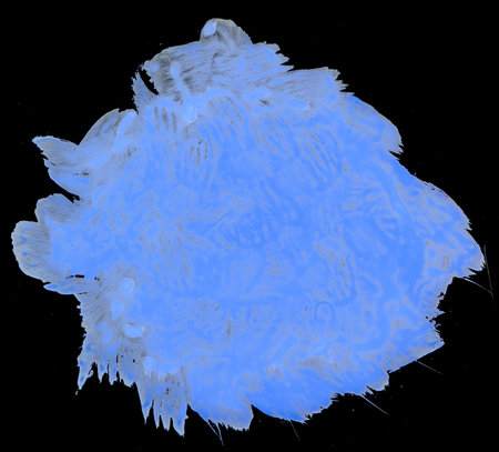texture blue paint stain on black backgroundの写真素材