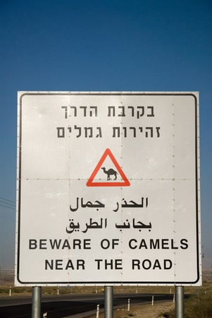 Road sign about loose camels on a way through the Negev desert,Israelの写真素材