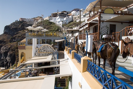 Walk in a village of Santorini,one of most beautiful and native islands of Greeceのeditorial素材