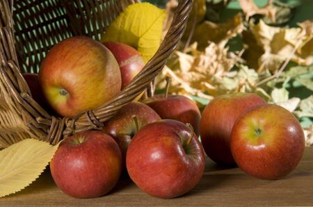 applesの写真素材