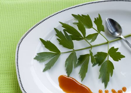 plate with herbの写真素材