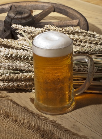 beerの写真素材
