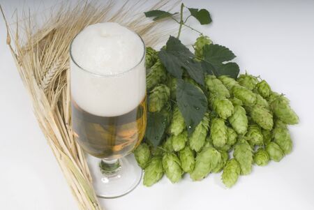 beerの写真素材