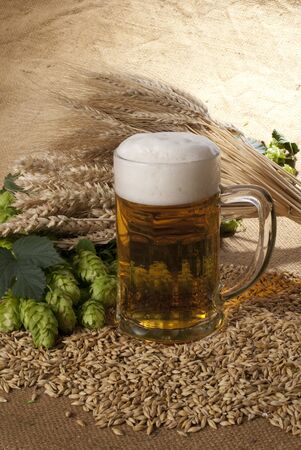 beerの写真素材