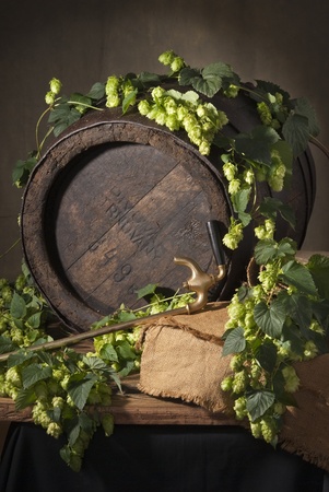 still life with hopsの写真素材
