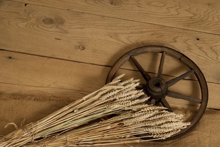 vintage still lifeの写真素材