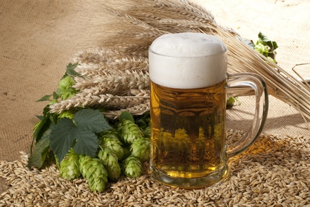 beerの写真素材