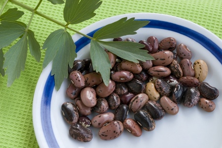 beansの写真素材